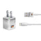 Germany Soccer Flag iPhone Charger (5W USB) Skin